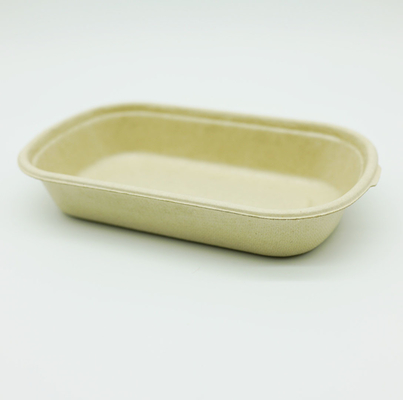 Disposable Paper Pulp Box Sustainable Compostable Liquid Food Safe Stable