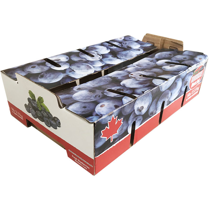 Tomato Fruit Carton Box Vegetable Packaging Box Easy Operation For Farm